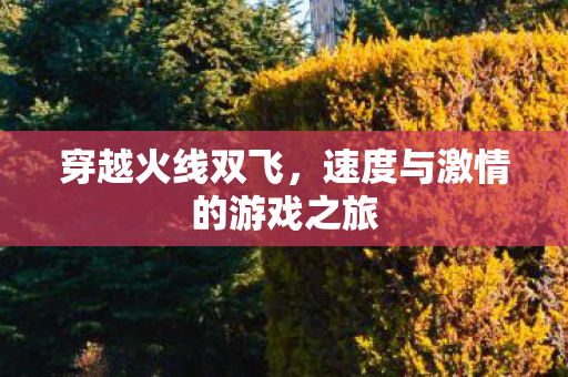 穿越火线双飞，速度与激情的游戏之旅