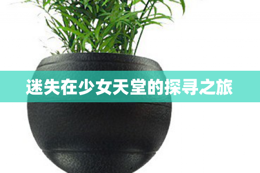 迷失在少女天堂的探寻之旅