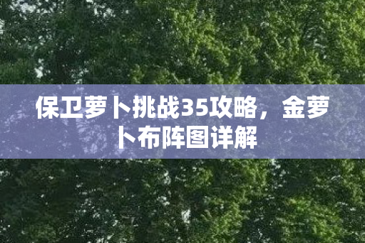 保卫萝卜挑战35攻略，金萝卜布阵图详解