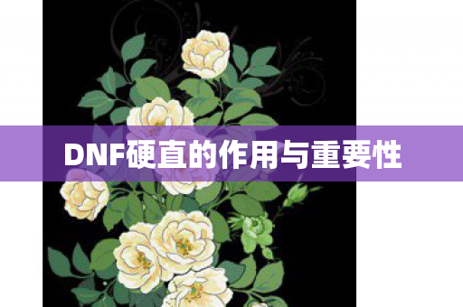 DNF硬直的作用与重要性