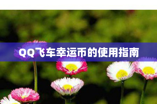 QQ飞车幸运币的使用指南