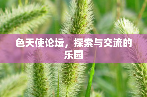 色天使论坛，探索与交流的乐园