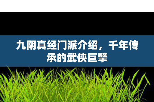 九阴真经门派介绍，千年传承的武侠巨擘