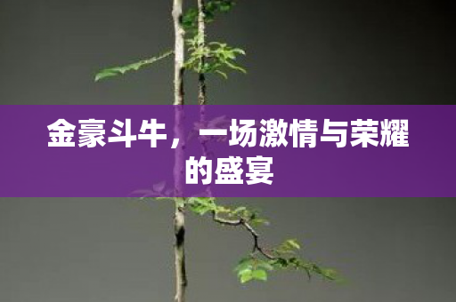 金豪斗牛,一场激情与荣耀的盛宴 金豪斗牛,一场激情与荣耀的盛宴