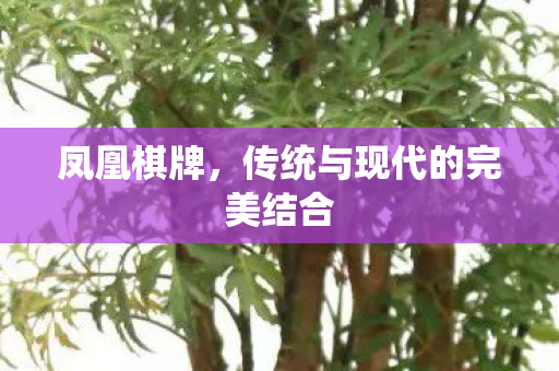 凤凰棋牌，传统与现代的完美结合