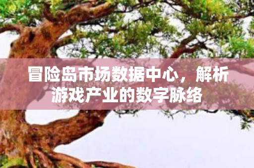 冒险岛市场数据中心，解析游戏产业的数字脉络