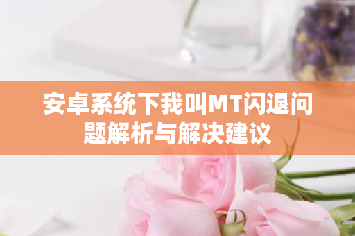 安卓系统下我叫MT闪退问题解析与解决建议