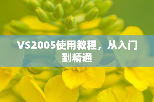 VS2005使用教程，从入门到精通