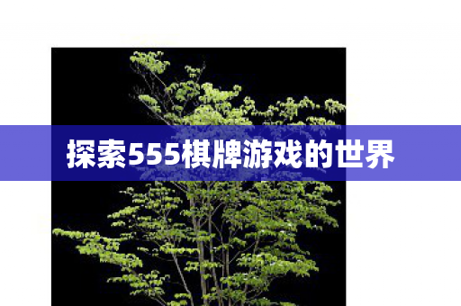 探索555棋牌游戏的世界 探索555棋牌游戏的世界