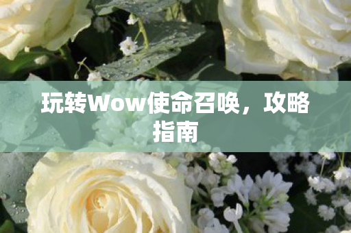 玩转Wow使命召唤,攻略指南 玩转Wow使命召唤,攻略指南