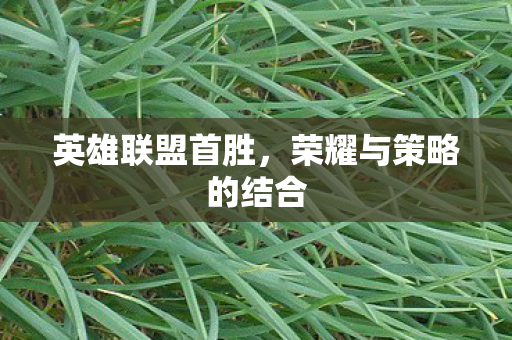 英雄联盟首胜，荣耀与策略的结合