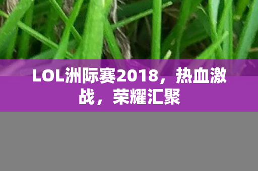 LOL洲际赛2018，热血激战，荣耀汇聚