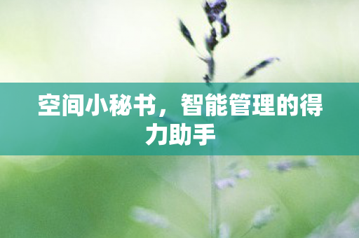 空间小秘书，智能管理的得力助手