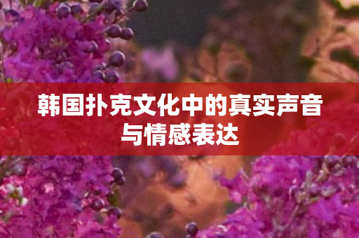 韩国扑克文化中的真实声音与情感表达 韩国扑克文化中的真实声音与情感表达