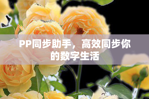 PP同步助手,高效同步你的数字生活 PP同步助手,高效同步你的数字生活