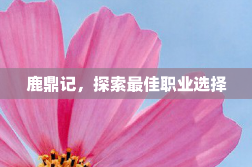 鹿鼎记,探索最佳职业选择 鹿鼎记,探索最佳职业选择