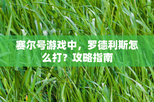 赛尔号游戏中，罗德利斯怎么打？攻略指南