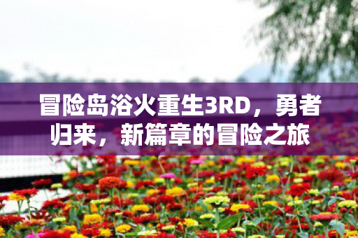 冒险岛浴火重生3RD，勇者归来，新篇章的冒险之旅