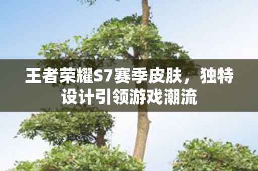 王者荣耀S7赛季皮肤，独特设计引领游戏潮流