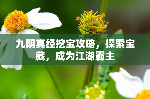 九阴真经挖宝攻略,探索宝藏,成为江湖霸主 九阴真经挖宝攻略,探索宝藏,成为江湖霸主