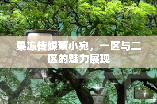 果冻传媒董小宛，一区与二区的魅力展现