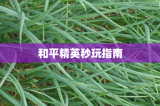 和平精英秒玩指南 和平精英秒玩指南