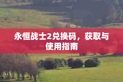 永恒战士2兑换码,获取与使用指南 永恒战士2兑换码,获取与使用指南