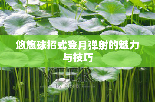 悠悠球招式登月弹射的魅力与技巧