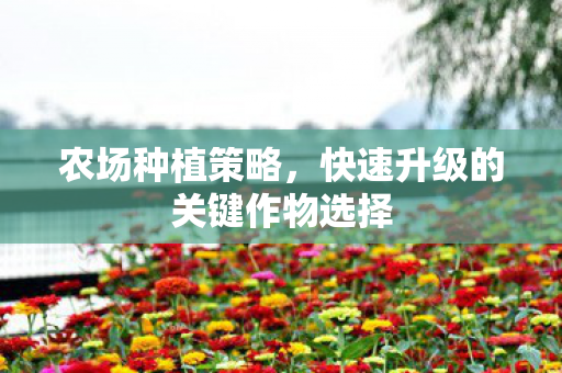 农场种植策略，快速升级的关键作物选择