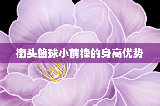 街头篮球小前锋的身高优势 街头篮球小前锋的身高优势