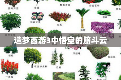 造梦西游3中悟空的筋斗云