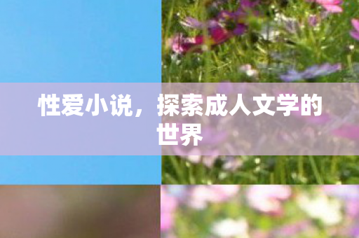 性爱小说,探索成人文学的世界 性爱小说,探索成人文学的世界