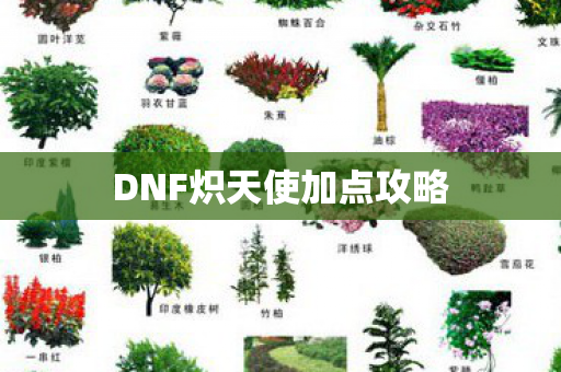 DNF炽天使加点攻略 DNF炽天使加点攻略