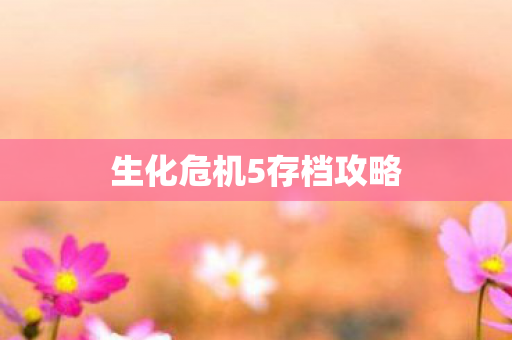 生化危机5存档攻略