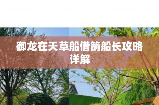 御龙在天草船借箭船长攻略详解 御龙在天草船借箭船长攻略详解