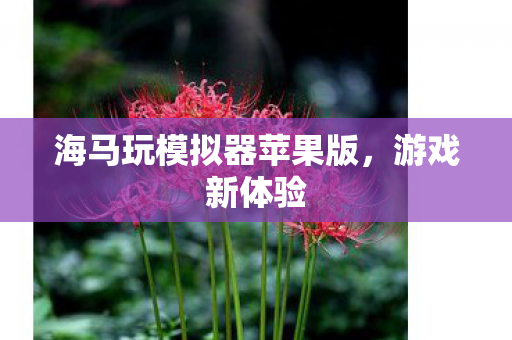海马玩模拟器苹果版，游戏新体验