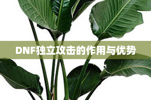 DNF独立攻击的作用与优势