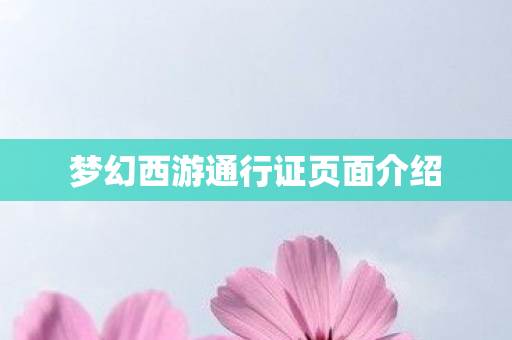 梦幻西游通行证页面介绍 梦幻西游通行证页面介绍