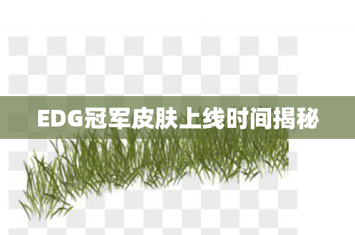 EDG冠军皮肤上线时间揭秘