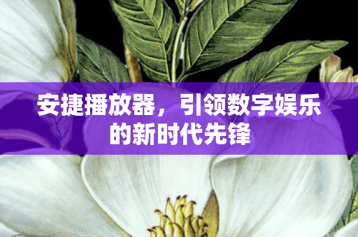 安捷播放器,引领数字娱乐的新时代先锋 安捷播放器,引领数字娱乐的新时代先锋