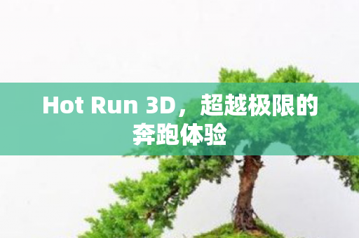 Hot Run 3D，超越极限的奔跑体验
