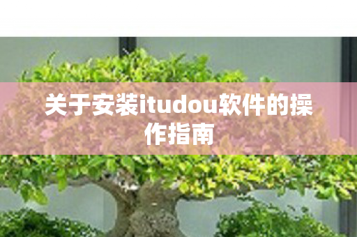 关于安装itudou软件的操作指南 关于安装itudou软件的操作指南