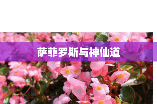 萨菲罗斯与神仙道