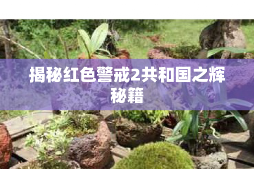 揭秘红色警戒2共和国之辉秘籍 揭秘红色警戒2共和国之辉秘籍