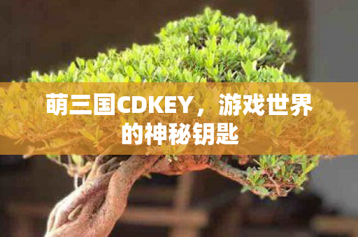 萌三国CDKEY，游戏世界的神秘钥匙