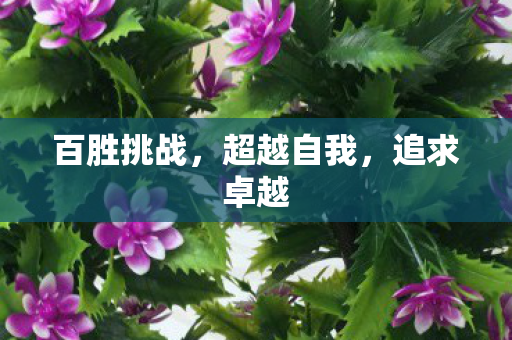 百胜挑战，超越自我，追求卓越