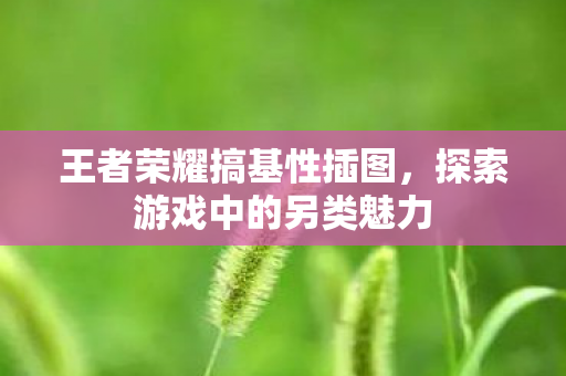 王者荣耀搞基性插图，探索游戏中的另类魅力