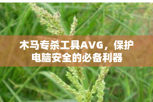 木马专杀工具AVG，保护电脑安全的必备利器