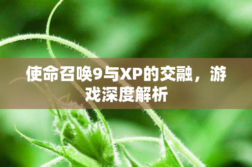 使命召唤9与XP的交融,游戏深度解析 使命召唤9与XP的交融,游戏深度解析