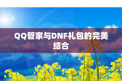 QQ管家与DNF礼包的完美结合